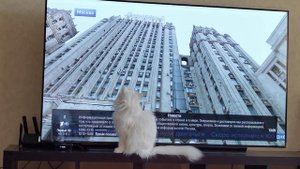 lg oled cx как показывают телеканалы sd , hd . fhd