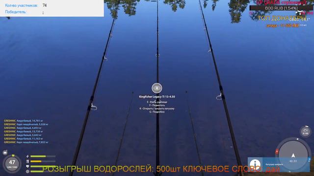 Русская Рыбалка 4. РОЗЫГРЫШ ВОДОРОСЛЕЙ и самый короткий стрим! смотреть онлайн