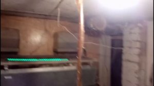 Борьба с мухами в птичнике перепелятнике