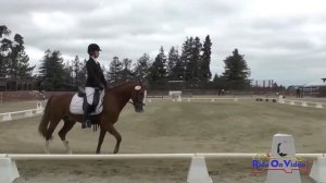 123D Katherine Papahadjopoulos on Maradona JR Training Dressage Woodside May 2017