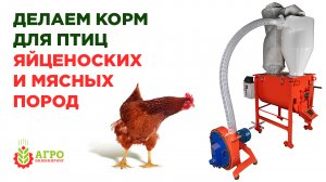Делаем корм для птиц яйценоских и мясных пород по рецептам. Какой выгоднее.