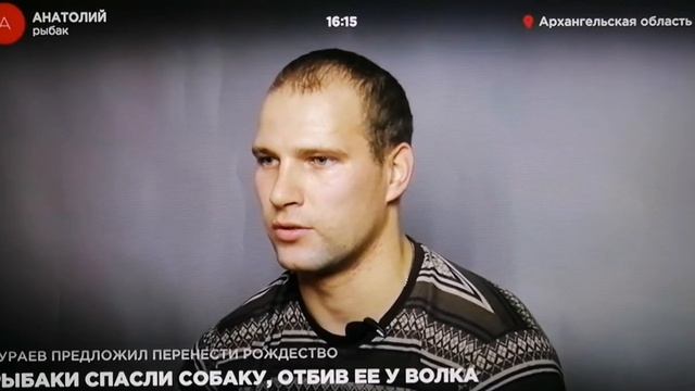 Рыбаки спасли собаку,отбив от волка смотреть онлайн