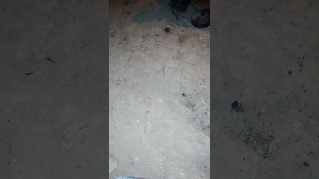 W210 мерс попробуем мыть уголь абсорбера смотреть онлайн