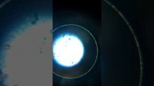 Pokazuje levenhuk zoom joy