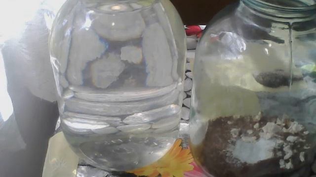 Очень вкусный домашний квас смотреть онлайн