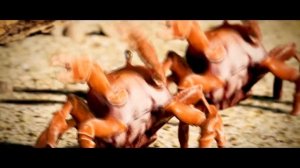 пажилыи крабики дерутся против глупого схс и умудряются флексить