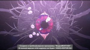 Animal | AMV/амв