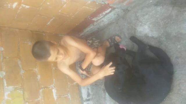 Анекдоты бомжа Валеры часть 1 смотреть онлайн