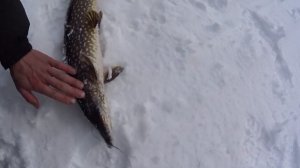 СЕВЕРНАЯ КАРЕЛИЯ! День первый.