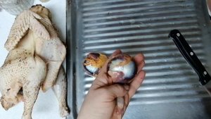 Как быстро очистить желудки кур и других домашних птиц.