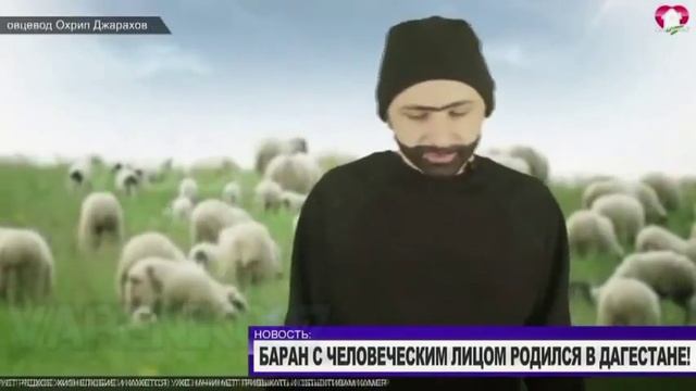 приколи мега ржачныэ ат меня максимального макса смотреть онлайн