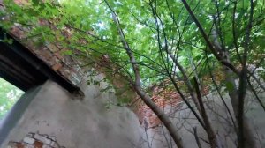 Усадьба «Горенки», колоннада, Балашиха, Московская область.