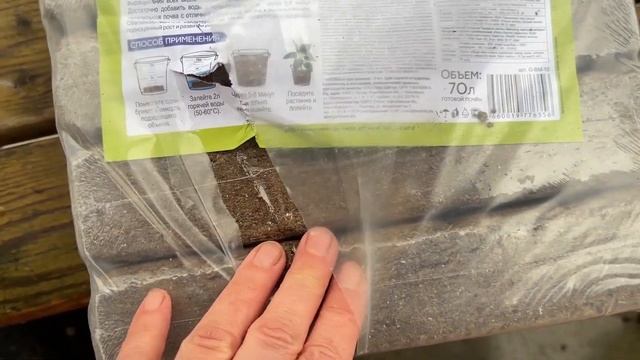 ПОРА ЗАВОДИТЬ ДОМАШНИЙ ОГОРОД