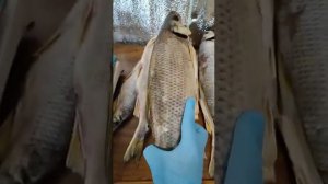 Кутум Вяленый, для заказа пишите комментарии!