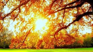 Порядочность. Жизнь на Новой Земле.