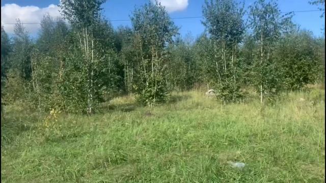 Признаки сильной химии между двумя людьми