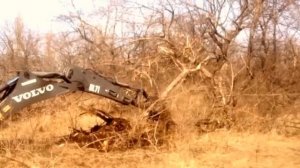 Корчёвка пней и целых деревьев экскаватором VOLVO BL 71