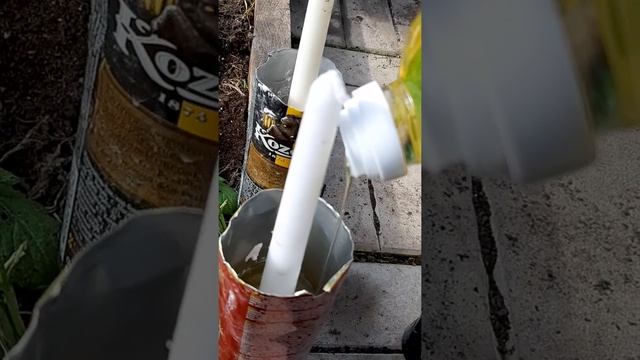 Как сохранить весной рассаду в теплице, когда наступают ночные заморозки. смотреть онлайн