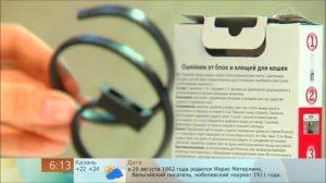 Какие зоо ошейники от блох и клещей наиболее эффективны?