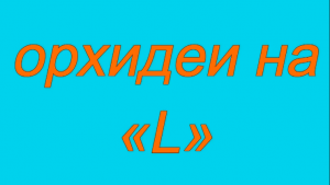 Орхидеи фаленопсис. Названия на букву «L»  Phalaenopsis Orchids. The names on the letter «L».mp4