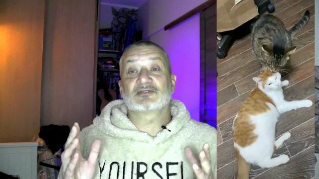 Рвота у кошки. причины. Чем помочь. смотреть онлайн