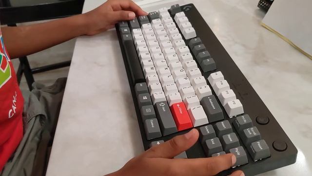Logitech Pro X Holy pandas GMK смотреть онлайн