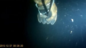 Подводная охота на Увильдах 23.09.23