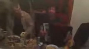 Даргинские песни Арсен Гасанов