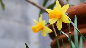 Музыка 2021 Популярная музыка для детей, бега, релакса, тренировок, успокаивающая, для сна новинка