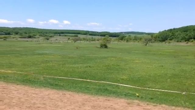 Скачка для лошадей от 3-х лет и старше. Дистанция 1200м смотреть онлайн