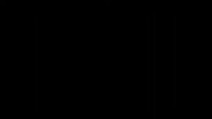 Ragnar Granit del 1 [utkast1]