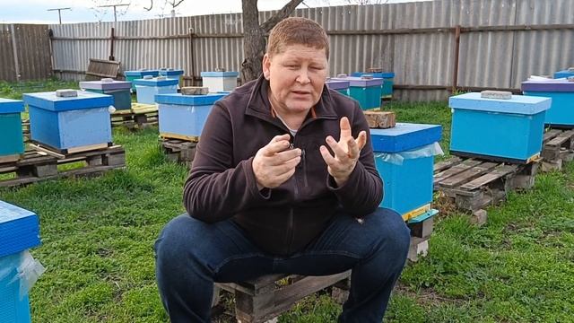 Аскосфероз. Болезни пчел. Как лечить Аскосфероз пчел. смотреть онлайн