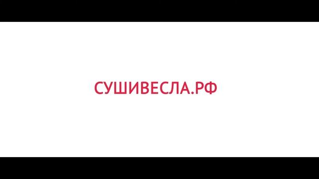 Итоги 2016 года БлинБерри и СушиВесла