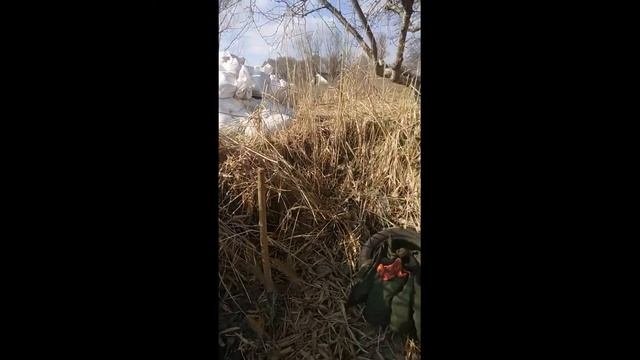 Укрепление берегов шифером