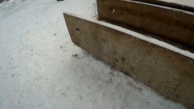 Заповедник "Кузнецкий Алатау". Животные заповедника "Кузнецкий Алатау"