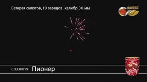 СЛ330019 Пионер