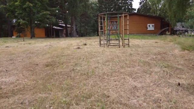 Лесные пруды смотреть онлайн