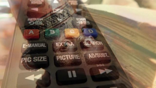 NIKON COOLPIX L 840 INDOOR MACRO TEST смотреть онлайн