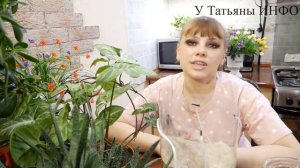 ✔️ Зачем комнатным растениям нужна ЗОЛА?