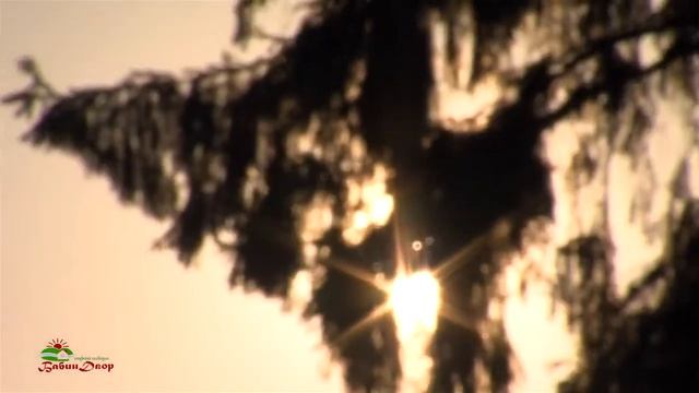 Бабин Двор - Отдых в доме смотреть онлайн