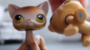 LPS: КАК ОТЛИЧИТЬ ОРИГИНАЛА ОТ ПОДДЕЛКИ?| ТОП 5 КРИТЕРИЕВ ВЫБОРА ЛПС