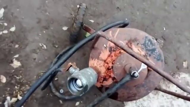 быстрый откорм скота, бычков