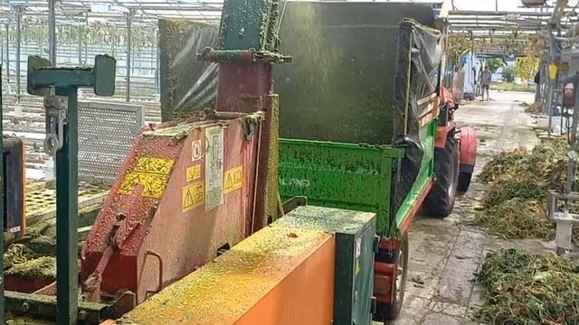 Измельчитель биомассы, дробилка растений в теплице, измельчитель сельхоз культур. смотреть онлайн