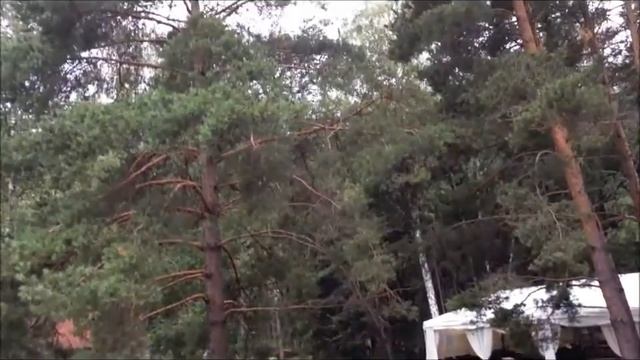 Прекрасный "Серебряный бор" г. Омск