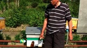 Источники чистопородных карпатских пчел (часть 1)