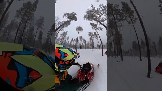 Полное видео в профиле!  #brp #skidoo  #снегоходы