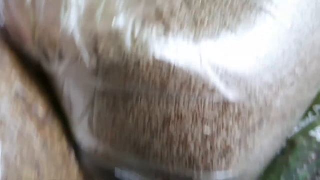 трава люцерна клад для огородников тимофеевка на сено смотреть онлайн