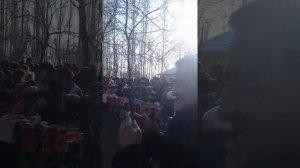 Туй дар Истаравшан