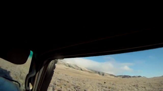 Охота на волка в Каркаралинске смотреть онлайн