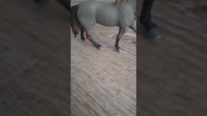 #Обзор на мою фигурку лошади из детского мира